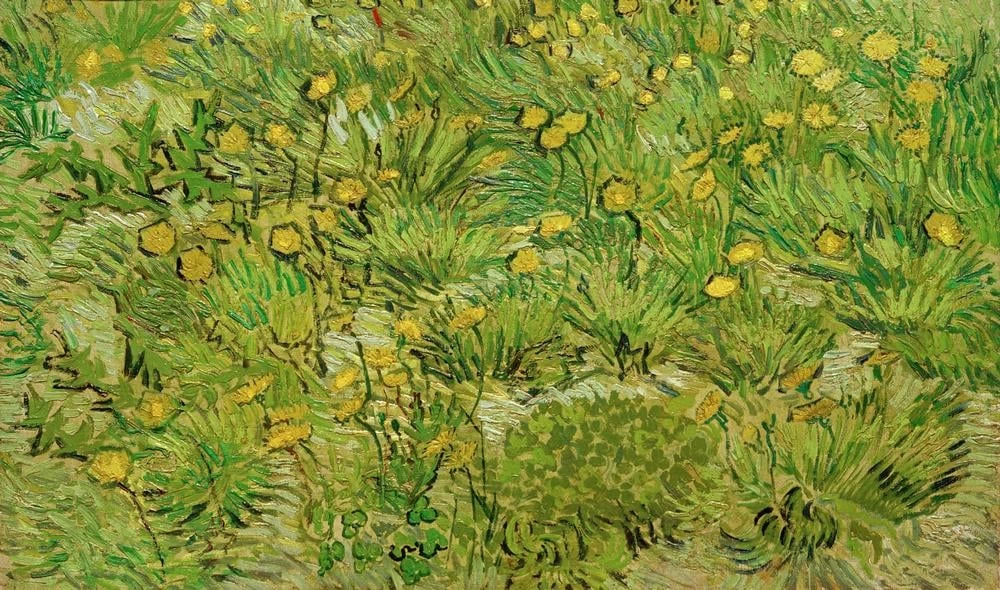  45-Vincent van Gogh-Denti di leone, 1889 - Winterthur, Kunstmuseu